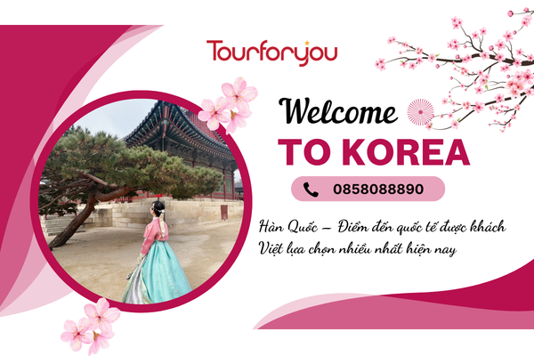Công ty du lịch Hàn Quốc tại Pleiku - Khám Phá Xứ Sở Kim Chi Cùng Tour for you