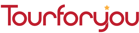 Visaforyou Logo